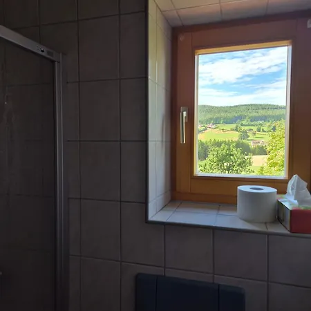 Frühstückspension Bio-bauernhof Wilfling Miesenbach (Styria)